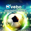 vebozcucc